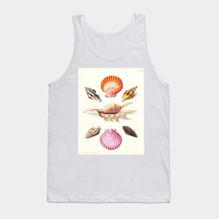 Scientific illustration of seashells Tank Top